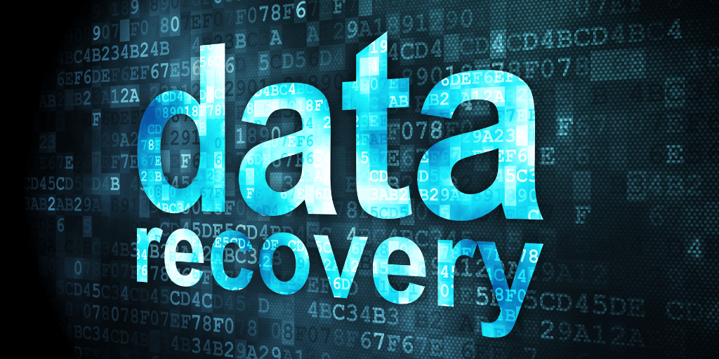 Data Recovery in Nelson